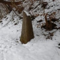 A Trip on a Winter Day