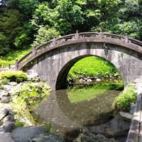 行く場所が無い
