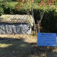 霧吹きの井戸