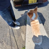7月です！！