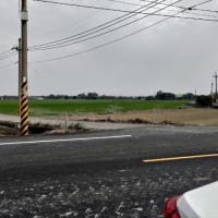 台湾の田植