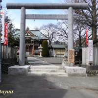 高ヶ坂村内の鎮守社「高ヶ坂熊野神社」