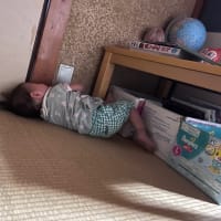 一歳半のお姫様