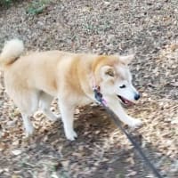 クリンへの想いは尽きなくて・・・327