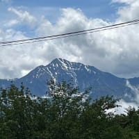 若葉の輝き富士のエナジー・・・富士山めぐりと信州春旅2025＜５＞
