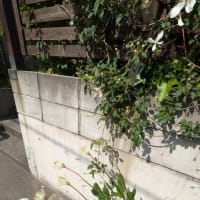花後の剪定