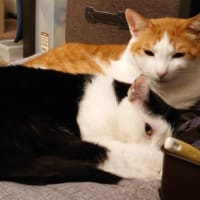 俺の右前に立つな