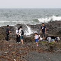６月１０日（火）　　大磯の磯