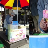 桜花時のみちのく旅３