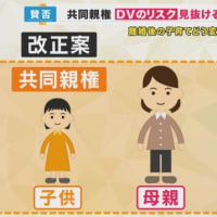 離婚しても2人で養育　『共同親権』認める改正民法が成立　DV加害者への適用など懸念点も