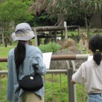 金沢動物園へ
