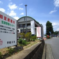 べに花の町、埼玉県桶川市　その１