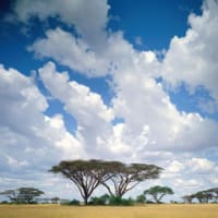 アフリカ縦断１１４日の旅（後編）・・NHK総合