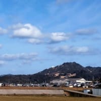 （新版）お魚と山と琵琶湖オオナマズの日々