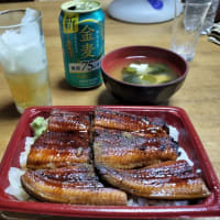 ウナギには悪いが　土用の丑の日