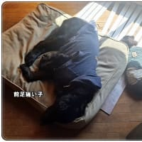 今日は足痛