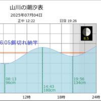 鯵釣り