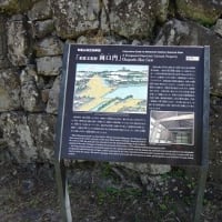 和歌山城と絵手紙展