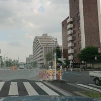 #173 -’25.　六町ミュージアム・フローラをご存知ですか？
