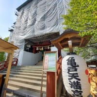 亀戸天神の藤まつりに行って来ました