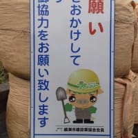 まちかどのブタッコリー