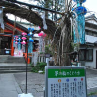 朝の散歩　板橋熊野神社に茅の輪　　　20