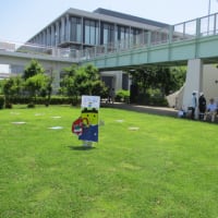 大判かるた取りを開催しました!!