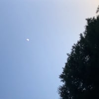 8月の会の予定です