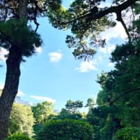 入園無料