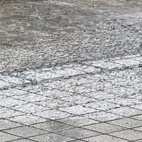 突然の大雨で畳が水浸し・再生キャベツの成長の様子