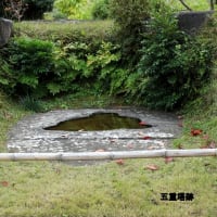 06/22奈良京都への旅-10（明日香村⑤：橘寺訪問、）
