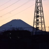 寒中お見舞い申し上げます。