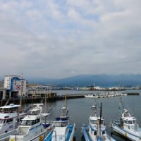 田子の浦
