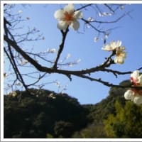 行って来ましたぁー