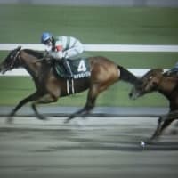 第70回 京王杯スプリングカップ（東京、GⅡ）　9・トウシンマカオ：第30回 ユニコーンステークス（京都、GⅢ）　4・カナルビーグル：2025年5月3日の東京・京都・新潟 特別レース