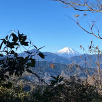 そうだ、高尾山へ行こう！7