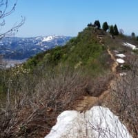 坂戸山ハイキング