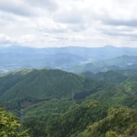 雁ヶ腹摺山・姥子山登山