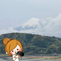 帰宅・・・・・🏠