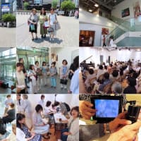Wellness Music Fair 2025