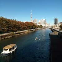 パープルリボン＆NETウォーク・セミナー東京2012