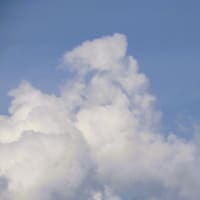 今日の空・・・