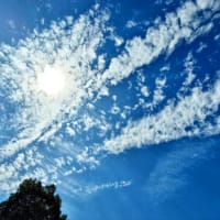 梅雨明けか・・・・！！