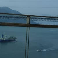 青い海を見るのが大好きです