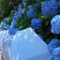 袋井市　遠州三山風鈴祭り～法多山に行ったが厄除け氷はないのか？