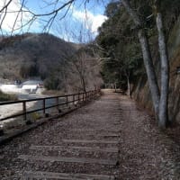 2025-06-23 Photo