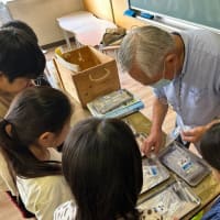 105-令和六年度 第21回 全国一斉調査結果の内から長野県版が閲覧できます。