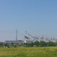 5月5日「こどもの日」