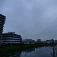 完璧梅雨空