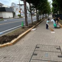 2024年5月6日本町小学校前花植え準備